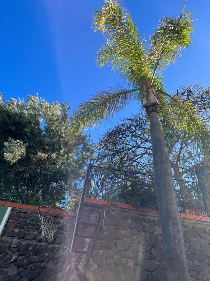 Apartmán Dream Garden Santa Cruz de Tenerife Exteriér fotografie